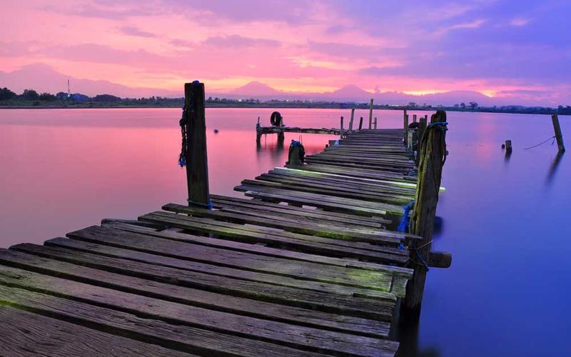 苹果文化故事分类